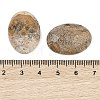 Natural Picture Jasper Cabochons G-Q186-01D-3