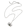 Alloy Natural Paua Shell Alloy Sea Animals Pendant 304 Stainless Steel Cable Chain Necklaces with Natural Pearl for Women NJEW-JN06524-4