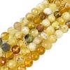 Natural Yellow Opal Beads Strands G-L597-C05-05-1