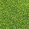 MIYUKI Round Rocailles Beads SEED-G007-RR3739-2