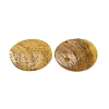 Spray Painted Natural Akoya Shell Charms SHEL-F007-15A-04-3