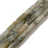 Natural Labradorite Beads Strands G-G873-A02-01-1