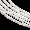 Natural Freshwater Shell Beads Strands SHEL-C010-04B-02-2