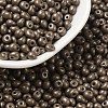 6/0 Glass Seed Beads X1-SEED-L011-08A-09-1