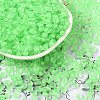 6/0 Luminous Glass Seed Beads SEED-NH0001-01H-2