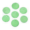 Spray Painted Natural Capiz Shell Disc Charms BSHE-T014-02E-1