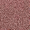 12/0 Glass Seed Beads X-SEED-A017-2mm-1108-2