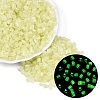 FGB Grade A Frosted Glass Seed Beads SEED-Q040-04A-11-1