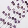 Natural Amethyst Beads G-O156-B-14-1