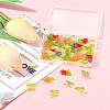 50Pcs Transparent Acrylic Pendants PALLOY-FS00043-06-9