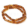 Natural Amber Beads Strands G-K387-E01-01-4