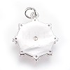 Brass Micro Pave Cubic Zirconia Pendants ZIRC-G150-10P-2