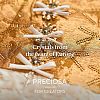 Preciosa® MAXIMA Crystal No Hotfix Flatback Stones Y-PRC-NSS6-00030-251-5