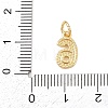 Brass Charms KK-G544-10G-06-3