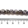 Freshwater Shell Beads Strands BSHE-L039-08B-10-4