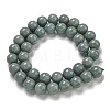 Natural Myanmar Jadeite Beads Strands G-B099-C07-06-3