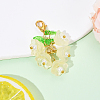 Glass & Acrylic Pendant Decorations HJEW-YW00052-05-1