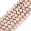 Natural Cultured Freshwater Pearl Beads Strands PEAR-I007-07Z-01A-2