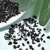 Natural Obsidian Chip Beads X-G-L453-08-4