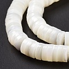 Natural Trochid Shell/Trochus Shell Beads Strands X-SSHEL-L016-13E-4