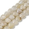 Natural Rainbow Moonstone Beads Strands G-P544-E06-01-2