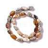 Natural Crazy Lace Agate Beads Strands G-L243A-20-3