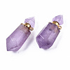 Faceted Natural Amethyst Pendants G-T131-15G-2