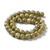 Natural Jade Beads Strands G-H245-04-6