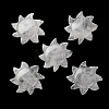 Natural Quartz Crystal Cabochons G-Q190-01B-2