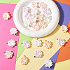 24Pcs 4 Colors Resin Pendants PALLOY-TAC0303-5