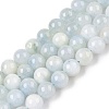 Dyed Natural White Jade Beads Strands G-T138-8mm-210-41-4