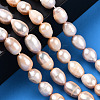 Natural Cultured Freshwater Pearl Beads Strands PEAR-N012-08L-6