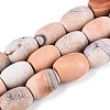 Dyed Natural Agate Beads Strands G-T144-29-4