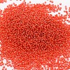 6/0 Transparent Glass Round Seed Beads X-SEED-J010-F6-25-2