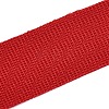 Polyester Ribbons OCOR-N011-01A-09-2