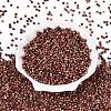 Picasso Glass Seed Beads GL-N001-01B-06-2