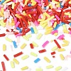 Handmade Polymer Clay Nail Art Decoration Accessories CLAY-T022-07D-2