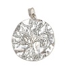 Tibetan Style Alloy Big Pendants PALLOY-V008-03C-AS-1