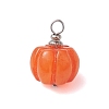 Opaque Resin Vegetable Pendants X1-PALLOY-JF02766-01-3