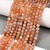 Natural Moonstone Beads Strands LS-G-C127-A02-02-1