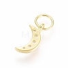 925 Sterling Silver Charms STER-G031-03G-2