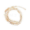 Natural Freshwater Shell Beads Strands SHEL-G013-02B-2