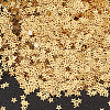 100G PET Paillette/Sequins Pendants KY-CY0001-24A-7