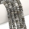 Natural Labradorite Beads Strands G-L654-I05-01-1