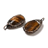 Natural Tiger Eye Pendants G-K381-05R-06-2