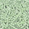 FGB Grade A Frosted Glass Seed Beads SEED-Q040-04A-03-4