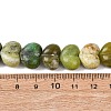Natural Serpentine Beads G-D098-B06-5