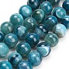 Natural Dragon Veins Agate Beads Strands GG-L001-L01-01G-2