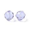 Imitation Austrian Crystal Beads SWAR-F066-6mm-04-2