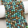 Natural Anhui Turquoise Beads Strands GG-CBA5BAE-C01-1